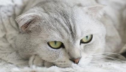 星空体育全站-山西男篮啦啦队社媒晒日常：不午休的山西人在哪里呢